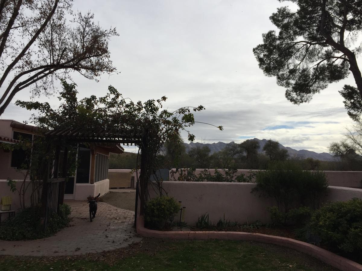 Casa Paloma B&B Tubac Esterno foto